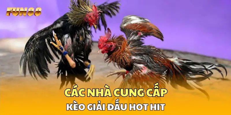 Các nhà cung cấp kèo giải đấu hot hit