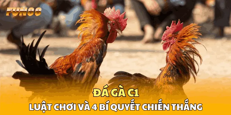 1 Đá Gà C1 - Luật Chơi Và 4 Bí Quyết Chiến Thắng Đỉnh Cao Đá Gà C1 - Luật Chơi Và 4 Bí Quyết Chiến Thắng Đỉnh Cao