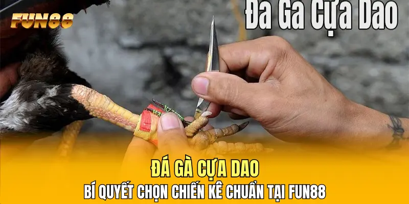 Đá Gà Cựa Dao: Bí Quyết Chọn Chiến Kê Chuẩn Tại FUN88