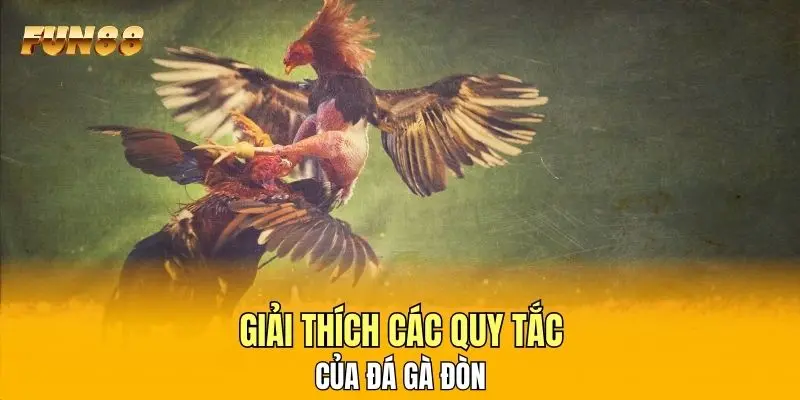Giải thích các quy tắc của đá gà đòn