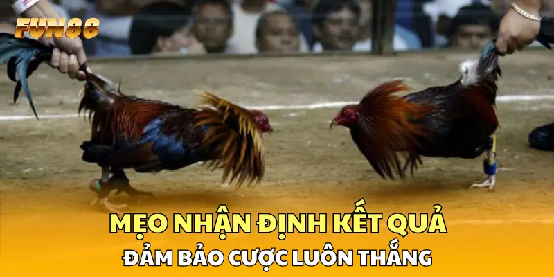 Mẹo nhận định kết quả đảm bảo cược luôn thắng 