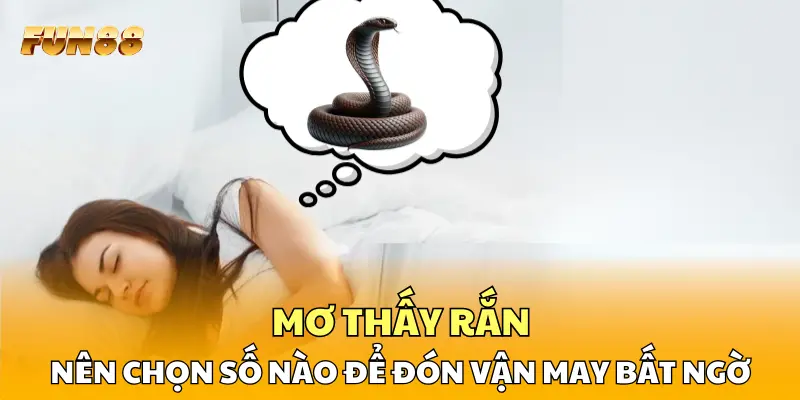 Mơ thấy rắn đánh con gì để đón vận may bất ngờ