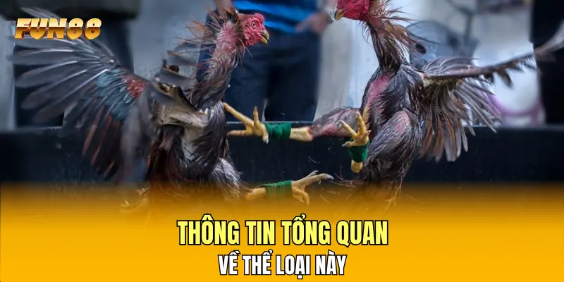 Thông tin tổng quan về thể loại này
